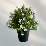 PAPERI Artificial Potted Plastic Plants with Pot - Thyme