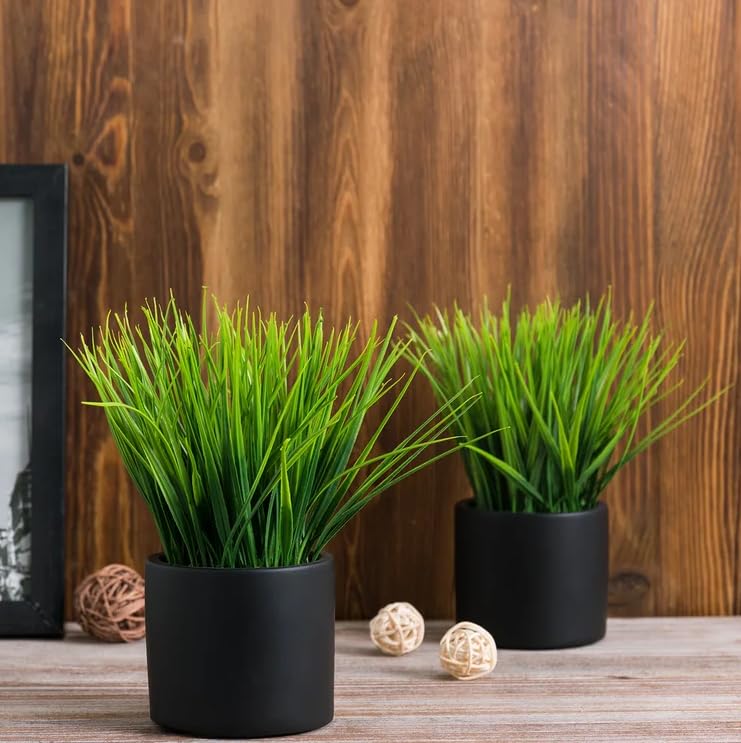 PAPERI Artificial Vine Plants for Home Décor – Realistic Faux Vine Flowers with Pot for Living Room, Office Desk & Bathroom Decoration